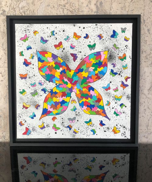 .PAPILLONS COLOR 50X50