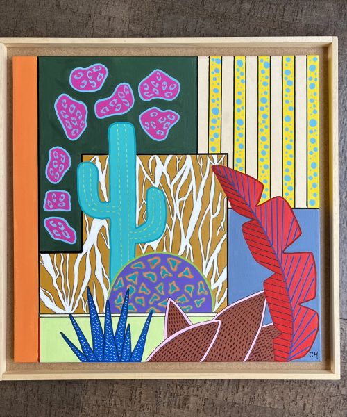 cactus sauvage 5